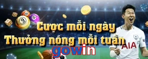gowin